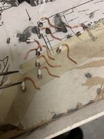 IMG_2050.jpeg