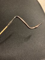 IMG_2059.jpeg