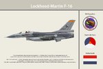 Neth_306Sqn_F16_Print.jpg