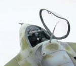 IMG_7596.jpg