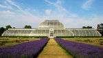 KEW_0103.jpg