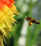 KEW_0088.jpg