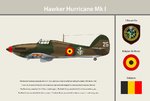 Belgium_1Esc_Hurricane_Print.jpg