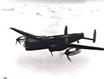 ab7.jpg