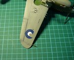wing decal.jpg