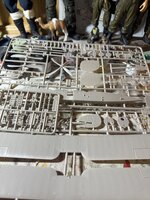IMG_2851.jpeg