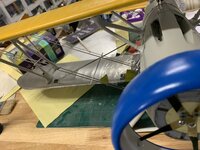 IMG_2234.jpeg