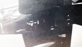 11 - AD-3 VA-174 late 1940 belly viev of the early rack Pag 20 MDF 26 SAM Publications.jpg