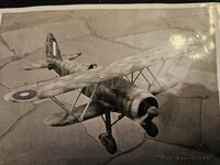 Scott reconnaissance.2.jpg