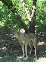 IMG_2819.jpeg