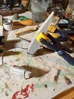 IMG_2981.jpeg