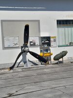 WhatsApp Bild 2025-08-09 um 18.23.07_31432c75.jpg