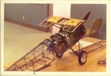 SDAM 03.jpg