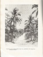 GUAM 3.jpg