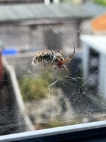 IMG_7048.JPEG