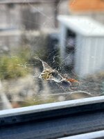 IMG_7050.JPEG