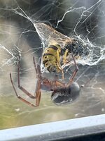 IMG_7051.JPEG