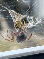 IMG_7053.JPEG