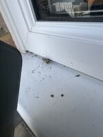IMG_7061.JPEG