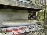 IMG_0161.jpeg