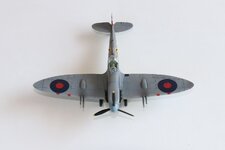 2025-08-31 IMG_3850.jpg