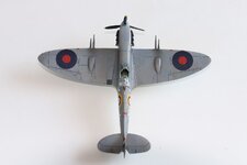 2025-08-31 IMG_3853.jpg