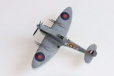 2025-08-31 IMG_3854.jpg