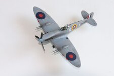 2025-08-31 IMG_3855.jpg