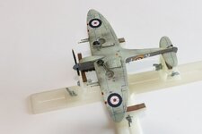 2025-08-31 IMG_3858.jpg