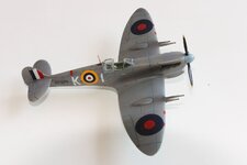 2025-08-31 IMG_3905.jpg