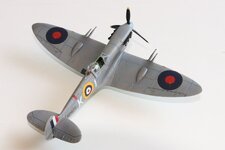 2025-08-31 IMG_3907.jpg