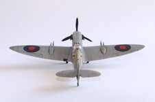 2025-08-31 IMG_3941.jpg