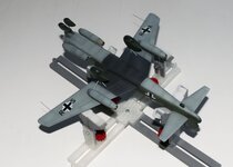 2025-08-31 IMG_3841.jpg