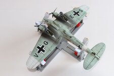 2025-08-31 IMG_3875.jpg