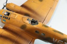 2025-08-31 IMG_3913.jpg