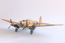 2025-08-31 IMG_3960.jpg