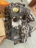 IMG_0307.jpeg