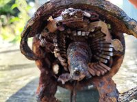 WhatsApp Image 2025-08-30 at 10.42.30.jpeg