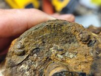 WhatsApp Image 2025-09-07 at 18.47.21.jpeg