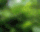 104412_150.gif