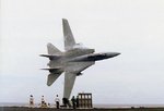 f-14_20fly-by_121.jpg