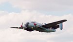 flamant_202b_846.jpg