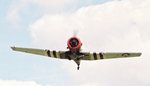 t6_205b_131.jpg