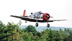t6_203b_186.jpg