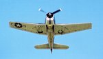 f6f_202b_100.jpg
