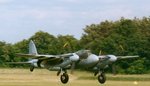 mosquito_20deco_195.jpg