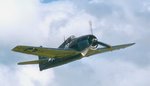 f6f_20vol_20face_151.jpg