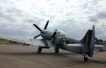 spitfire_20xive_204_182.jpg