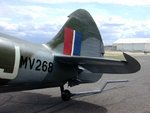 spitfire_20xive_2019_156.jpg