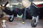 mosquito_134.jpg